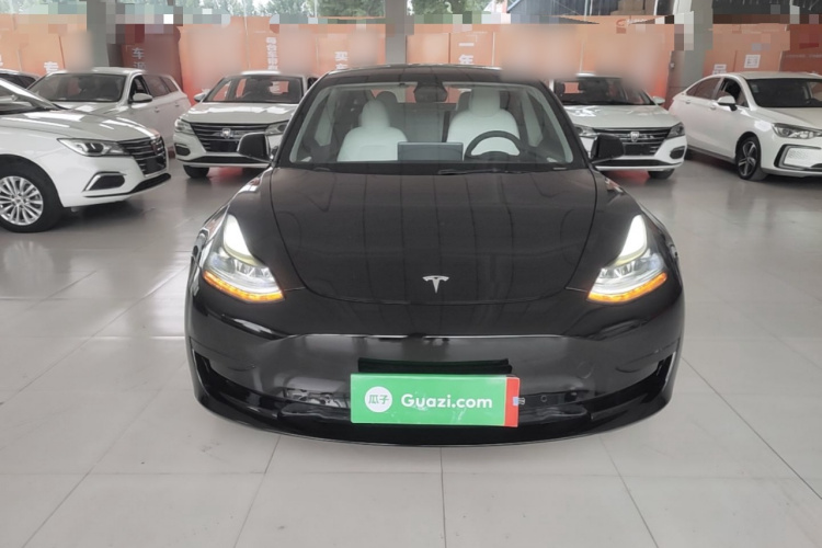 Tesla Model 3 2002 #3 Tesla Model 3 2002 car image #3