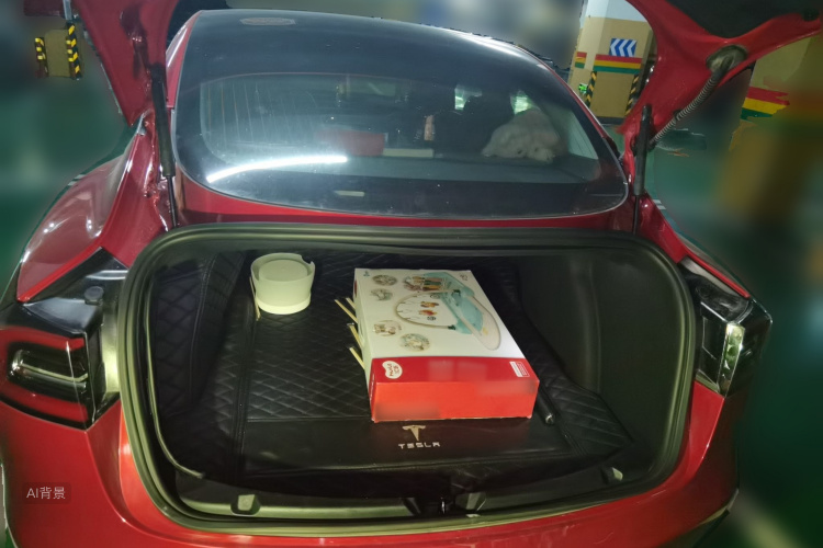 Tesla Model 3 2020 car image #21