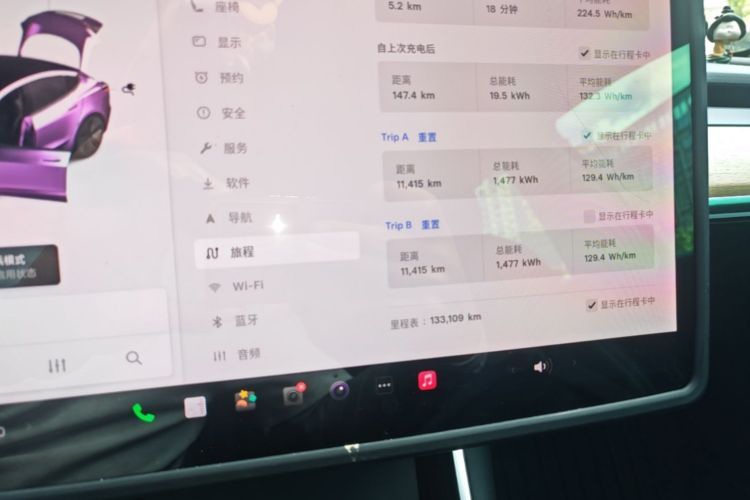 Tesla Model 3 2020 car image #12