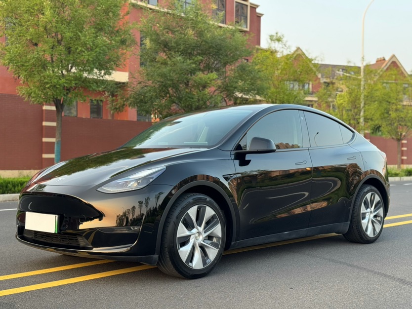 Tesla Model Y 2021 Tesla Model Y 2021 car image