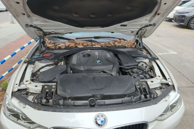 BMW 3 Series 2017 #20 BMW 3 Series 2017 immagine di auto #20