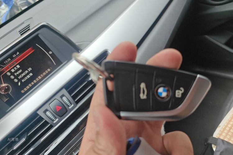 BMW X1 2016 car image #10