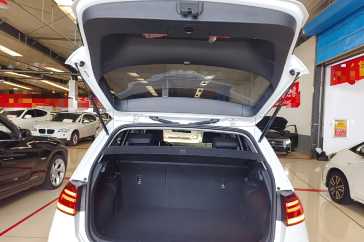 Volkswagen Golf 2020 car image #19