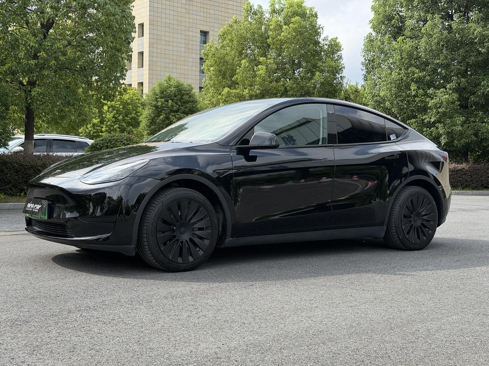 Tesla Model Y 2023 Tesla Model Y 2023 car image