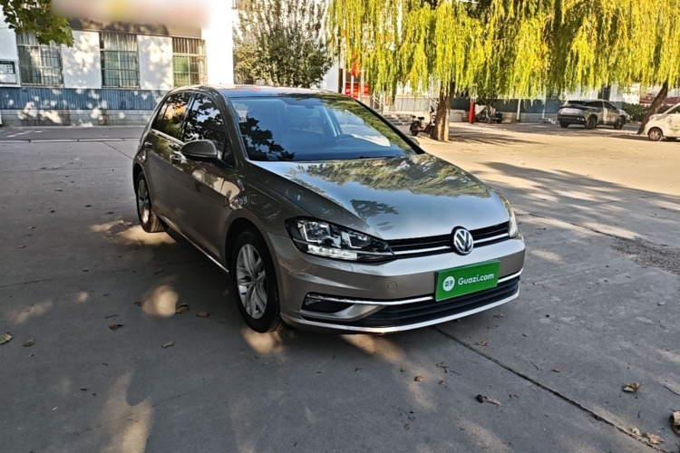 Volkswagen Golf 2019 car image #4