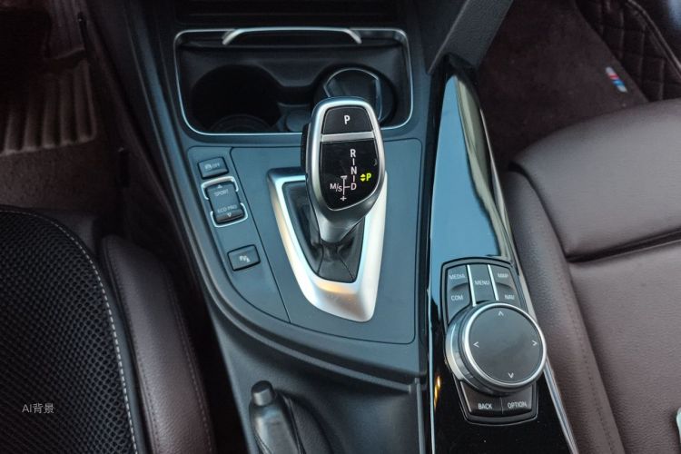 BMW 3 Series 2018 car image #16