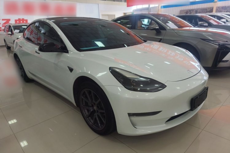 Tesla Model 3 2020 #4 Tesla Model 3 2020 car image #4