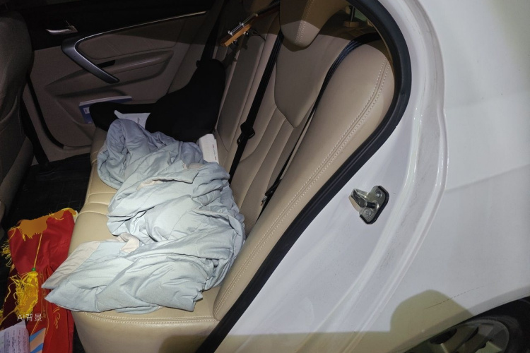 GEELY Emgrand 2016 car image #19
