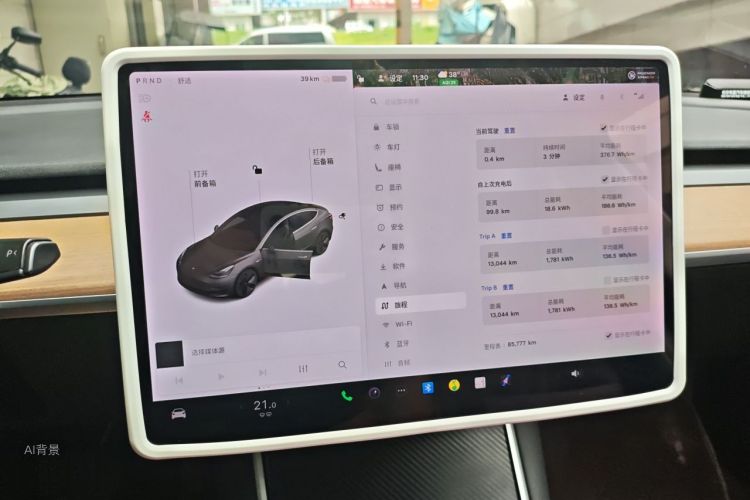 Tesla Model 3 2020 car image #13