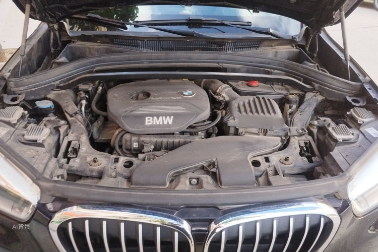 BMW X1 2017 car image #22