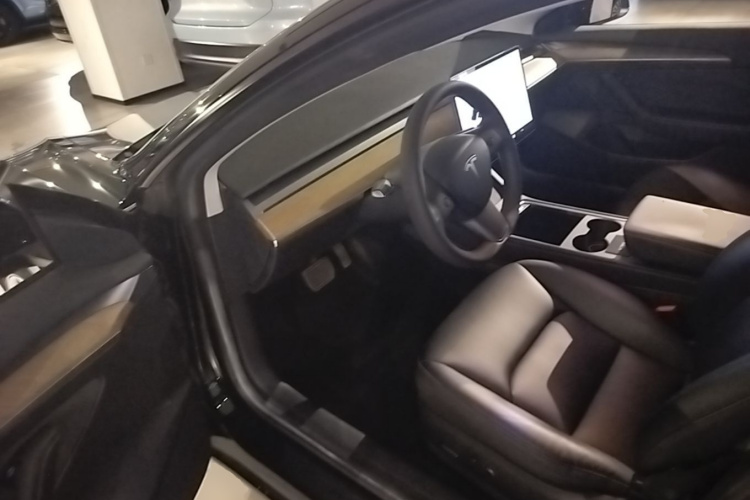 Tesla Model 3 2021 car image #16