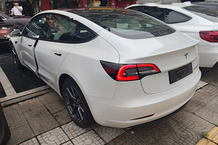 Tesla Model 3 2021 #5 Tesla Model 3 2021 car image #5