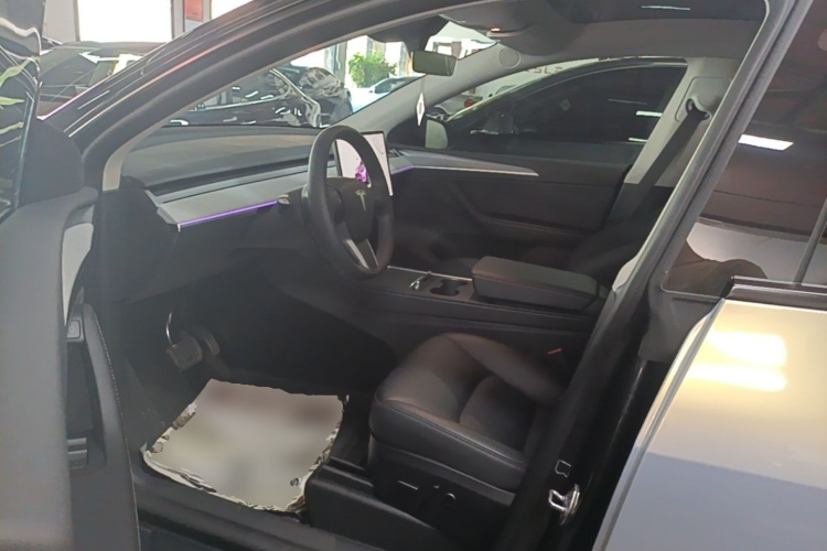 Tesla Model Y 2024 car image #16