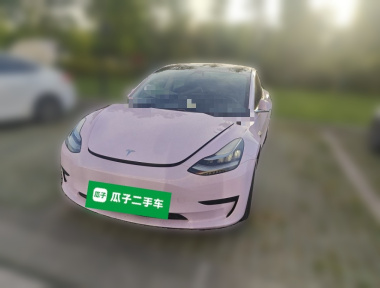 Tesla Model 3 2020 car image 