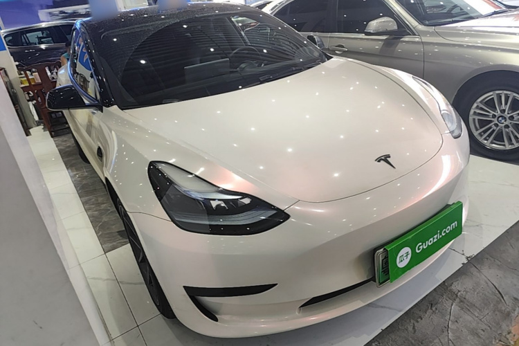 Tesla Model 3 2021 car image #4