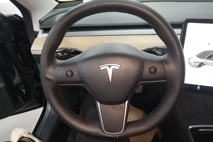 Tesla Model 3 2021 #15 Tesla Model 3 2021 изображение автомобиля #15