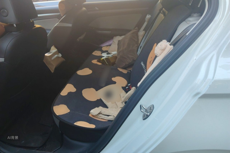 Volkswagen Bora 2022 صورة سيارة #19