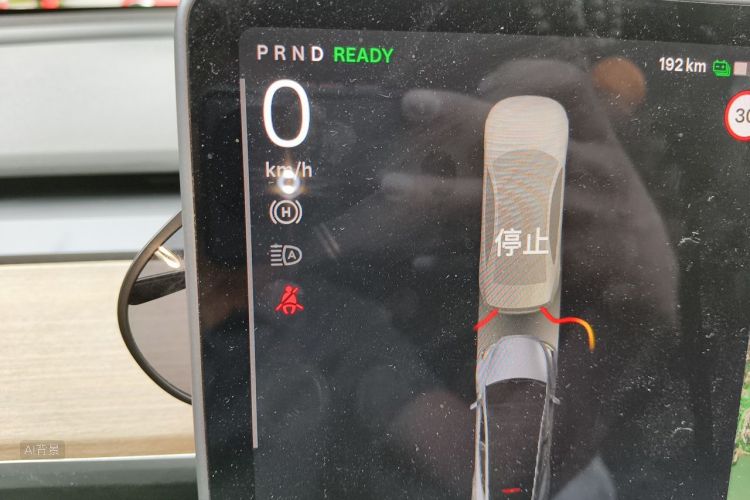 Tesla Model Y 2021 car image #13