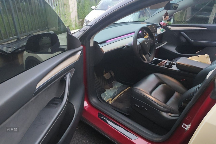 Tesla Model Y 2021 car image #18