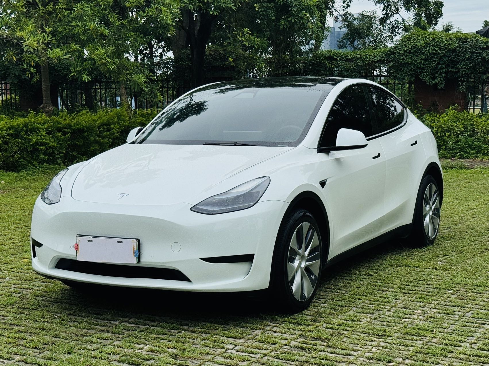 Tesla Model Y 2023 Tesla Model Y 2023 car image