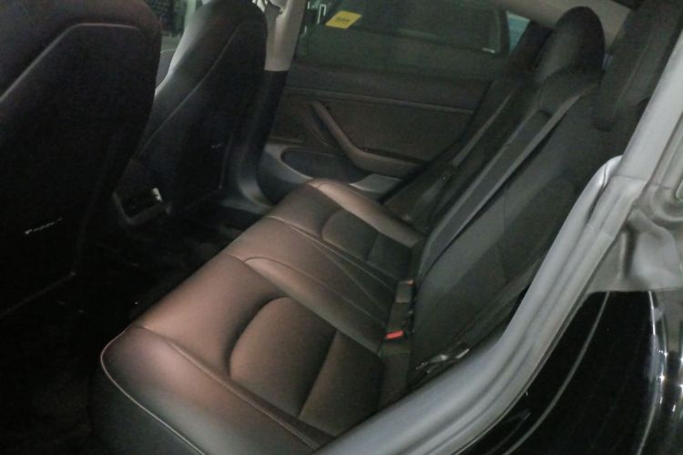 Tesla Model 3 2020 car image #13