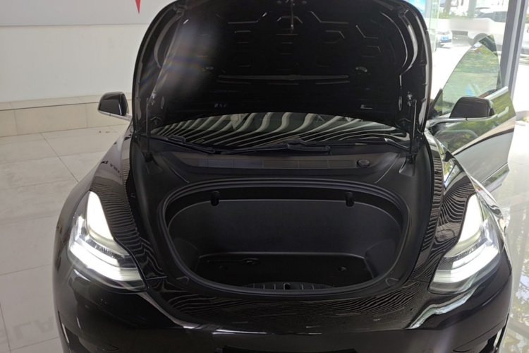 Tesla Model 3 2020 #20 Tesla Model 3 2020 car image #20