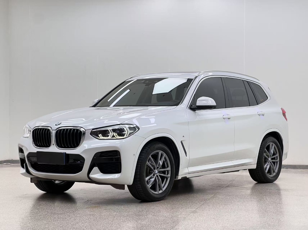 BMW X3 2019 car image 