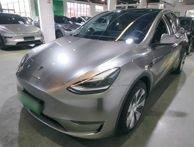 Tesla Model Y 2021 Tesla Model Y 2021 car image