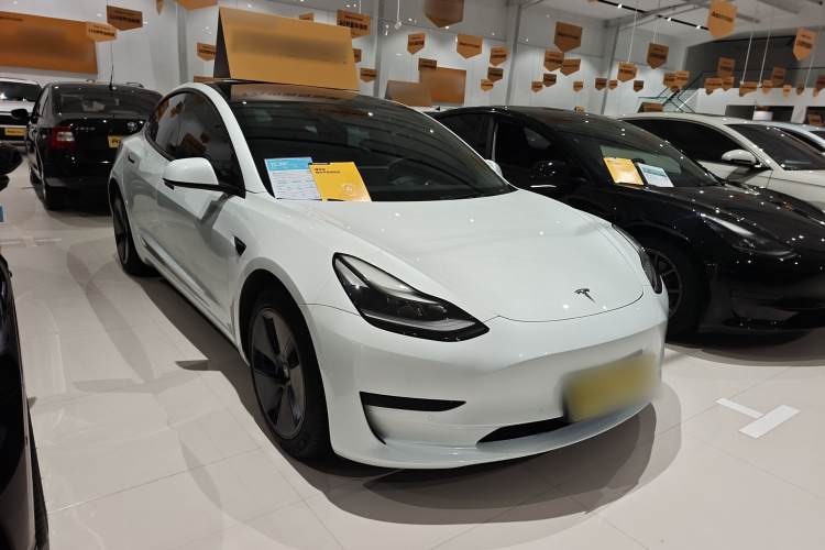 Tesla Model 3 2021 immagine di auto #4