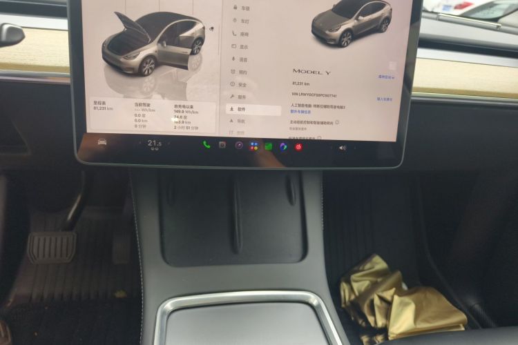 Tesla Model Y 2023 car image #13
