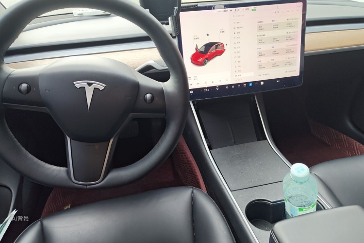Tesla Model 3 2020 car image #11