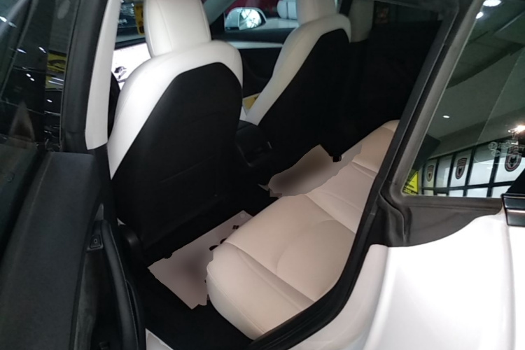 Tesla Model 3 2021 #17 Tesla Model 3 2021 car image #17