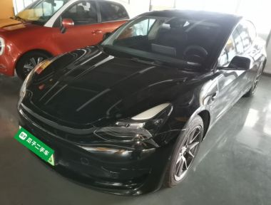 Tesla Model 3 2021 car image 