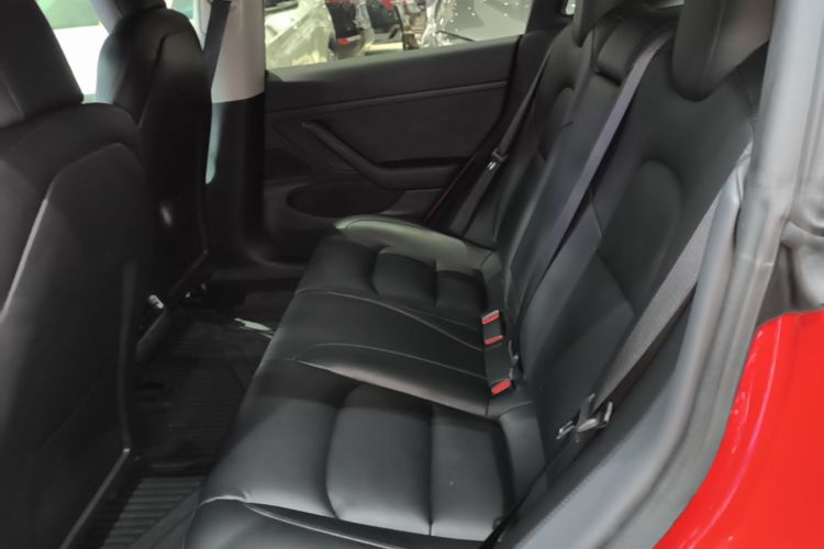 Tesla Model 3 2020 car image #13