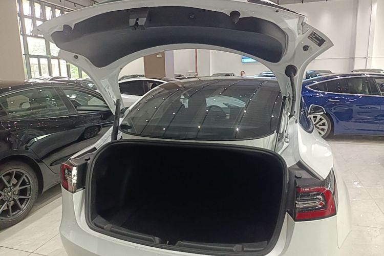Tesla Model 3 2021 #19 Tesla Model 3 2021 car image #19