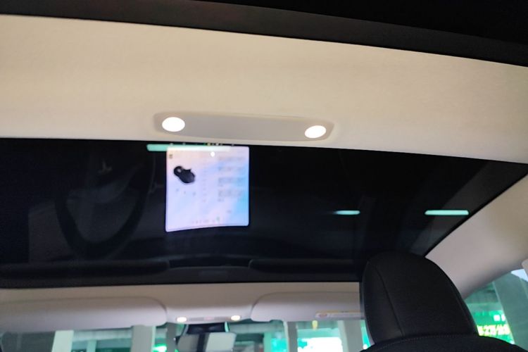 Tesla Model 3 2021 car image #18