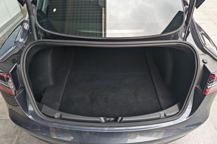 Tesla Model 3 2021 #19 Tesla Model 3 2021 car image #19