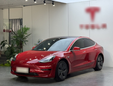 Tesla Model 3 2020 car image 