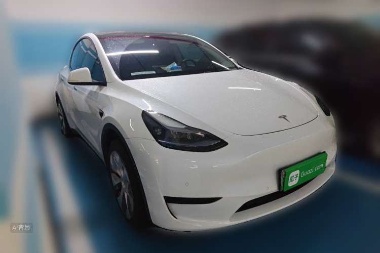 Tesla Model Y 2023 car image #4