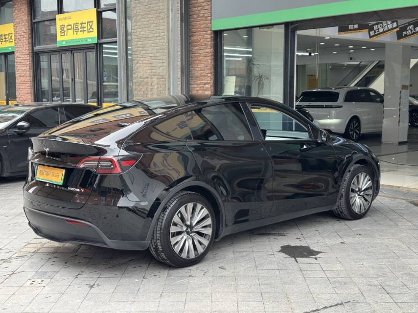 Tesla Model Y 2024 car image #6