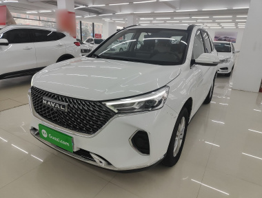 Haval M6 2023 汽车图片 