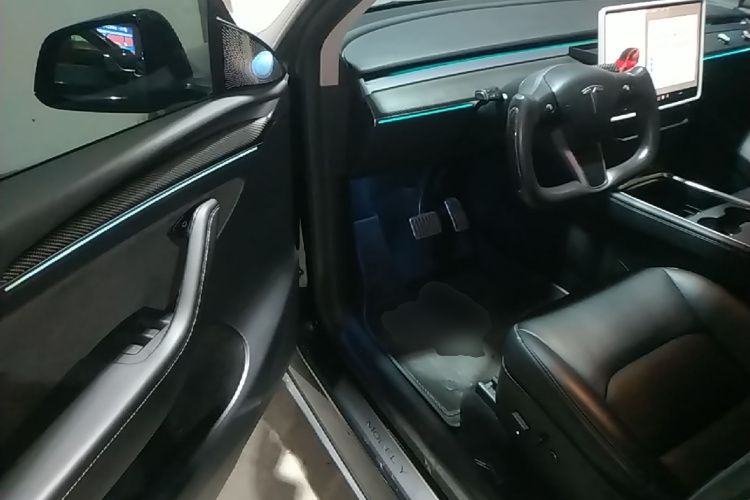 Tesla Model Y 2021 immagine di auto #16