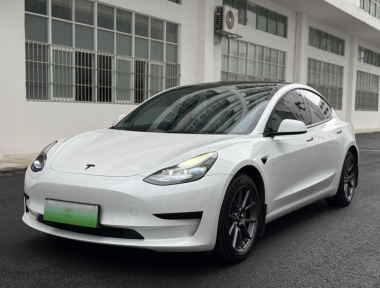 Tesla Model 3 2021 Tesla Model 3 2021 car image