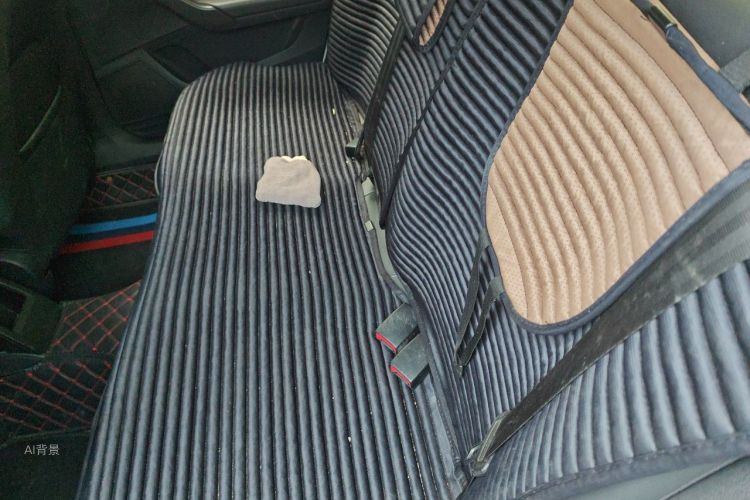 Volkswagen Santana 2019 car image #19