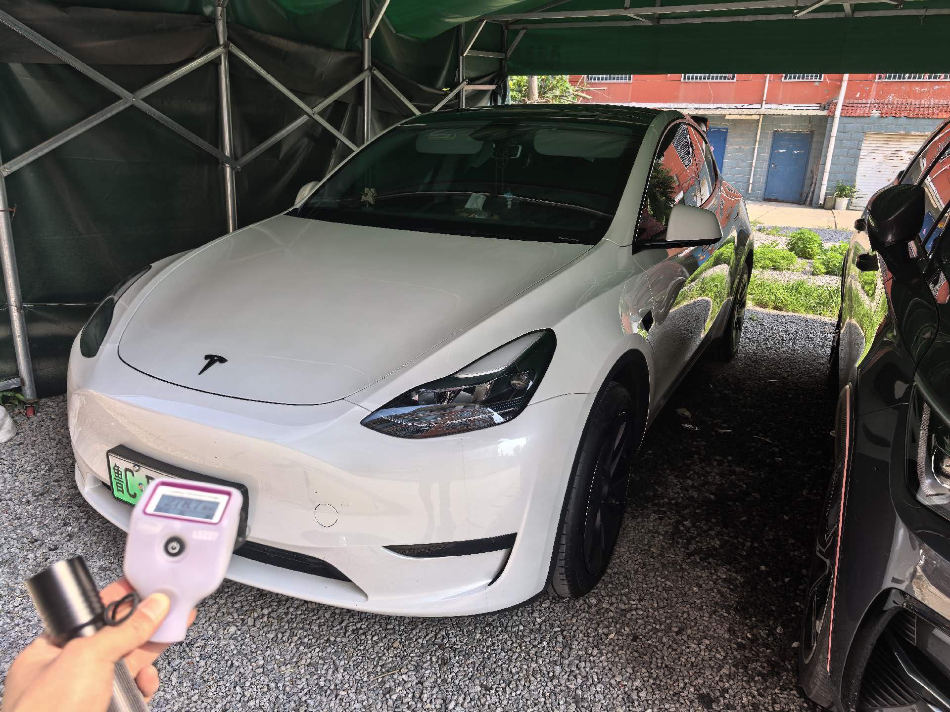 Tesla Model Y 2024 car image 