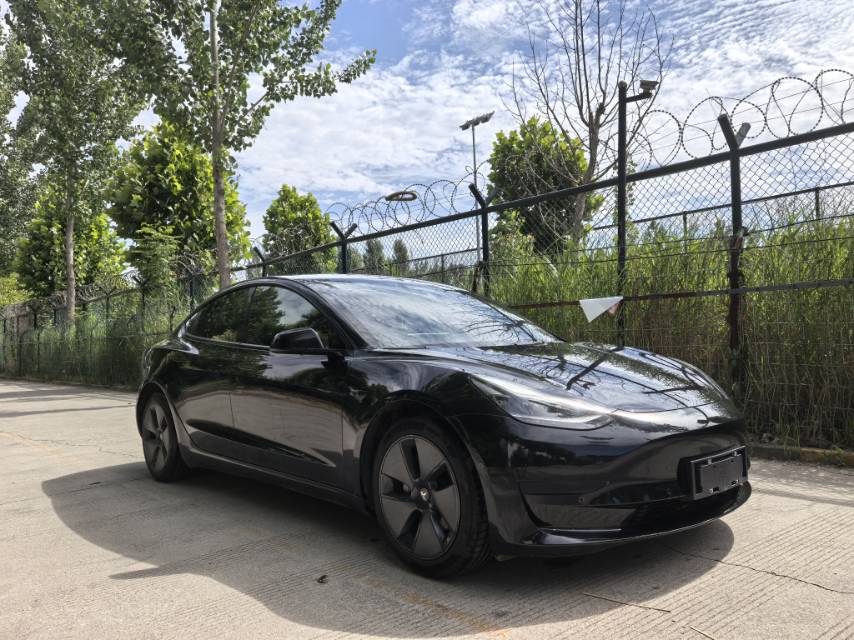 Tesla Model 3 2021 #3 Tesla Model 3 2021 car image #3