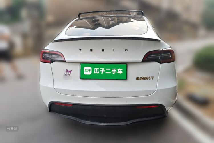 Tesla Model Y 2021 car image #6