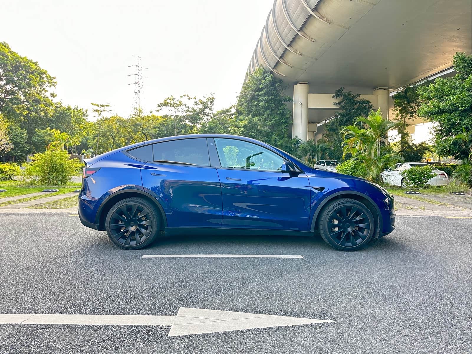 Tesla Model Y 2023 #6 Tesla Model Y 2023 car image #6