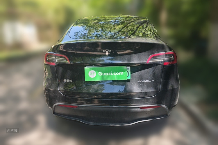Tesla Model Y 2021 car image #6