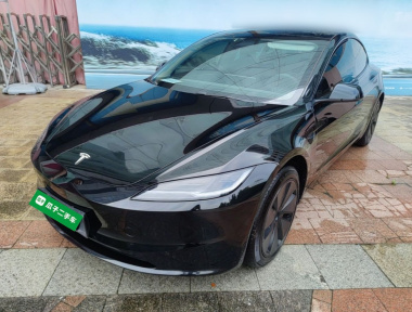Tesla Model 3 2023 car image 
